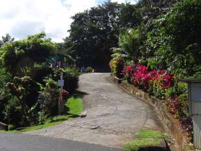 Dominica landscape Dominica landscape